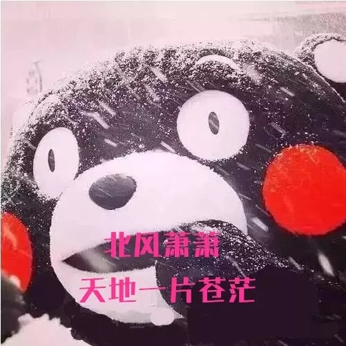 蓝细菌能感知季节变化准备过冬