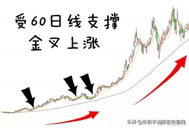 363只股短线走稳 站上五日均线