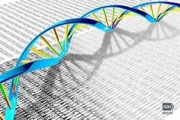 多国科学家联合倡议启动“人类基因组计划二期”