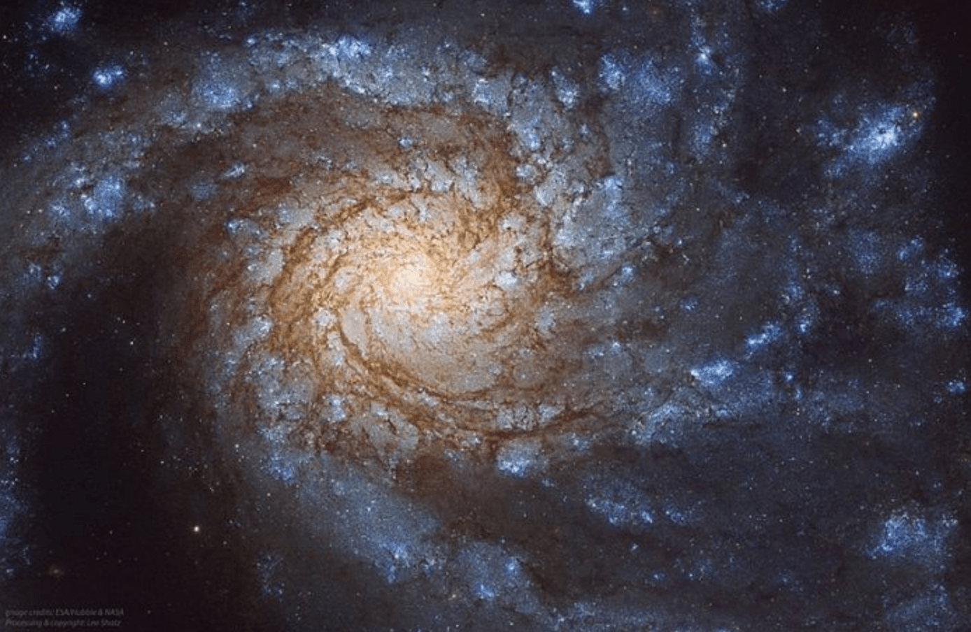 天文学家观测到恒星表面巨大气泡的浮沉