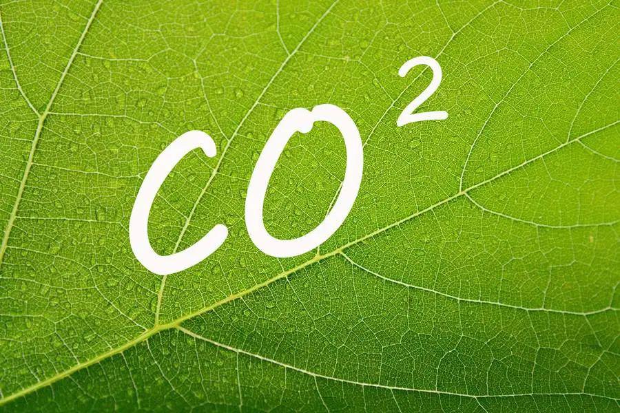 世贸组织研讨会聚焦中国绿色转型对应对气候变化的贡献