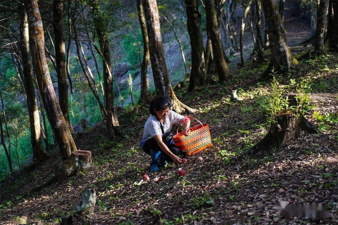 旺能环境：子公司签订泰国项目合同 金额合计约3.94亿元