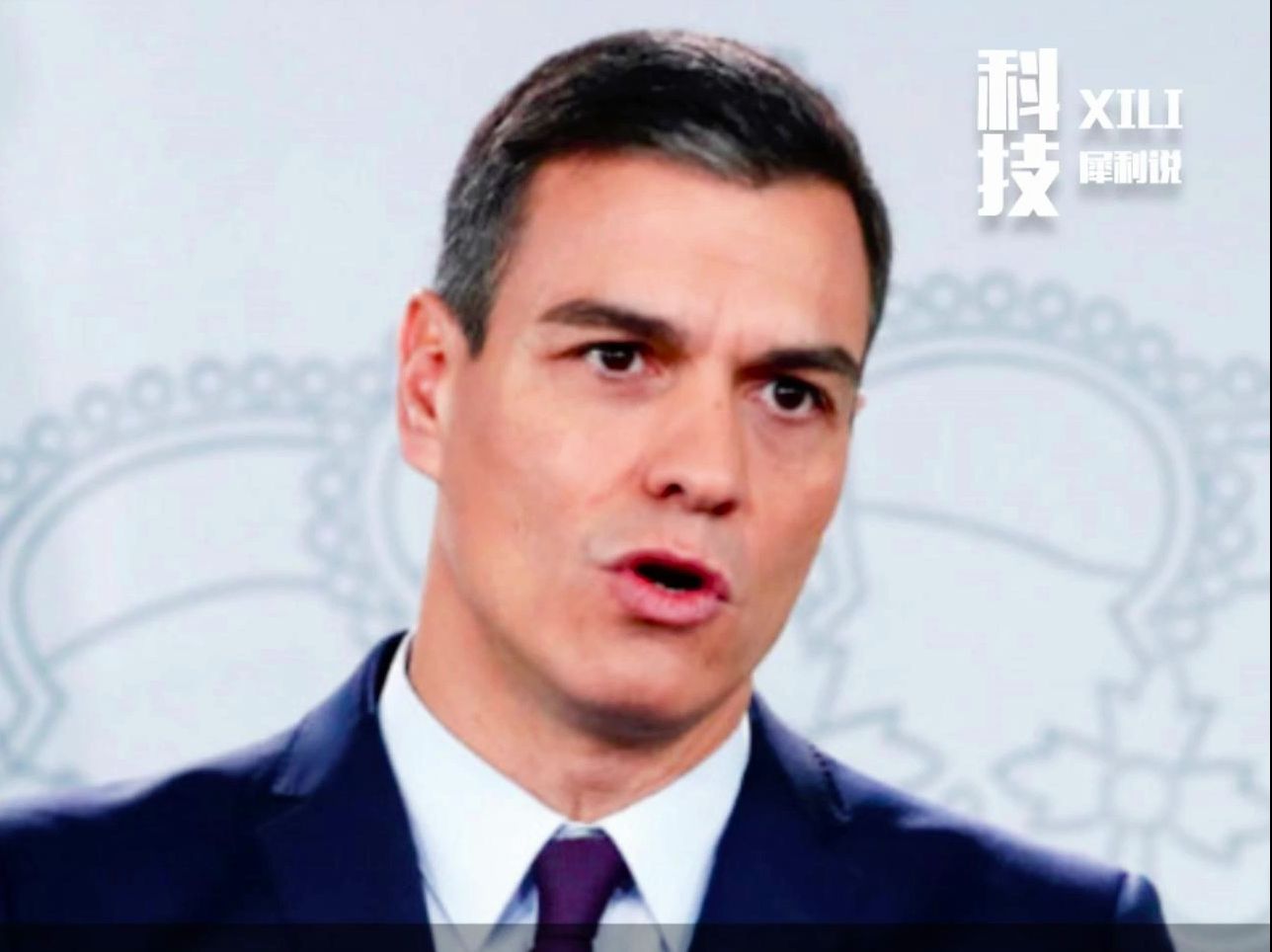 大众旗下西班牙车企反对欧盟对华电动汽车加征关税
