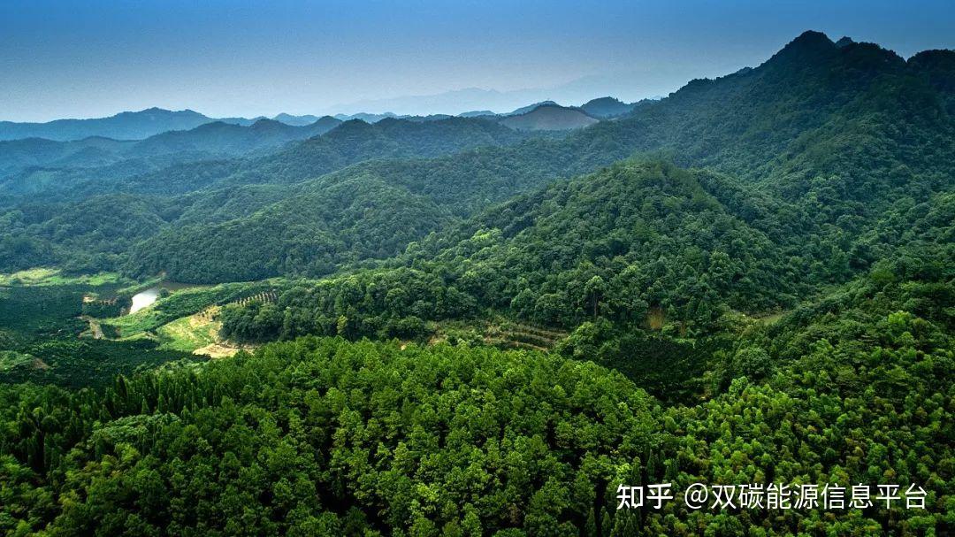 岳阳林纸：全资子公司中标怀化市CCER造林碳汇开发项目