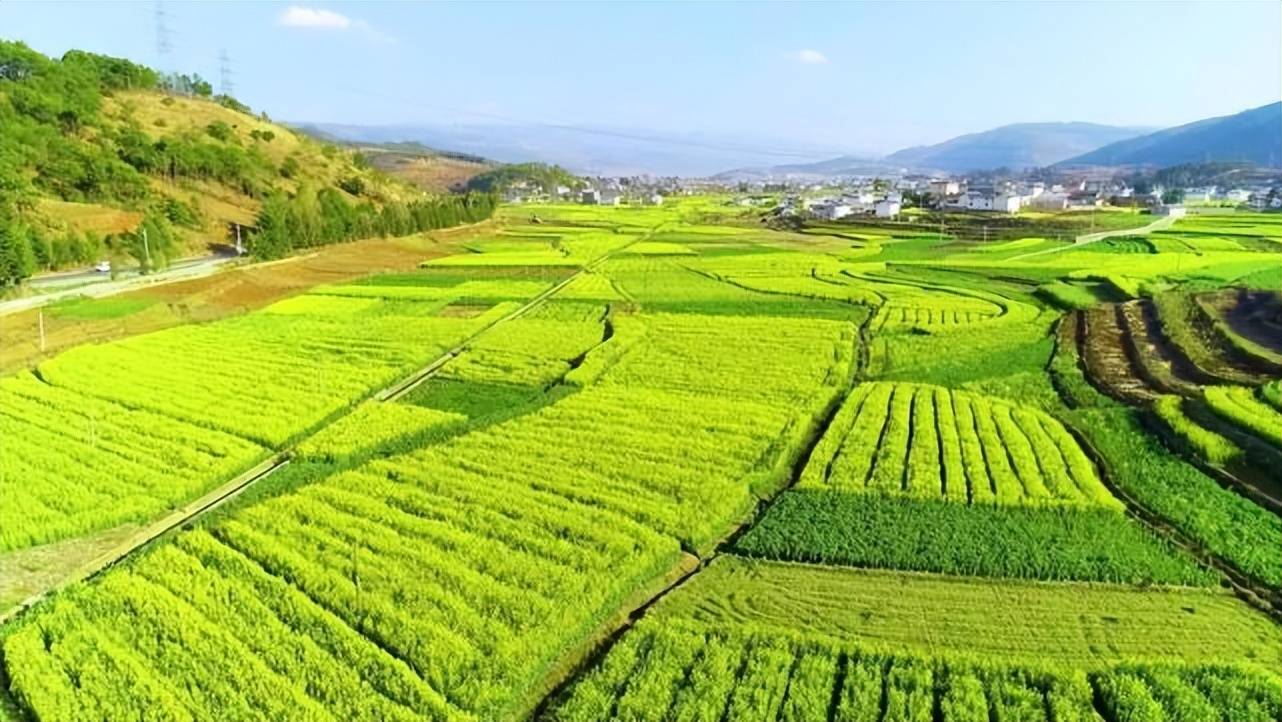 发展绿色债应从投资端与融资端两侧发力——绿色债券新形势下的发展思考与优化建议