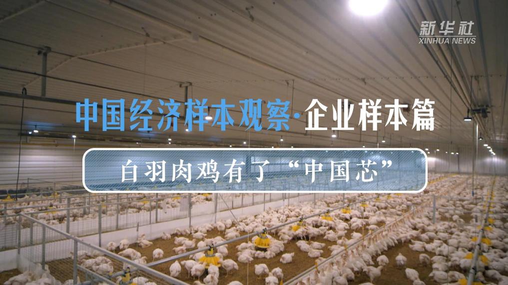 中国经济样本观察·企业样本篇丨打通电子工业产业化“最后一公里”