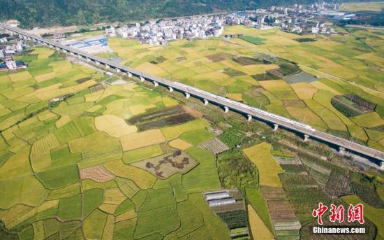 美丽生态10月24日大宗交易成交916.00万元