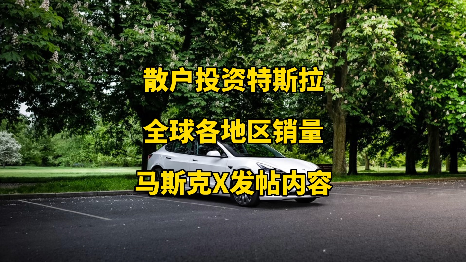 出售特斯拉股票！全球“最牛散户” 转向，转投美短期国债