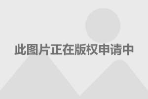 长城汽车获得实用新型专利授权：“缸盖上水套、气缸盖冷却组件和车辆”