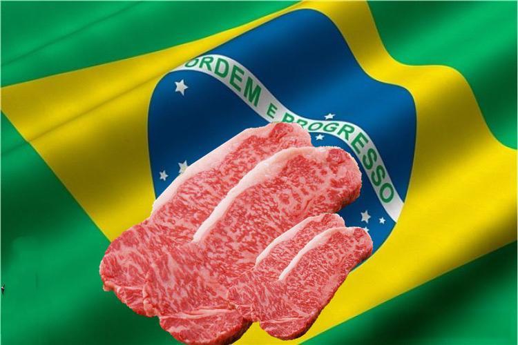 2025年第一季度阿根廷牛肉出口大幅下降