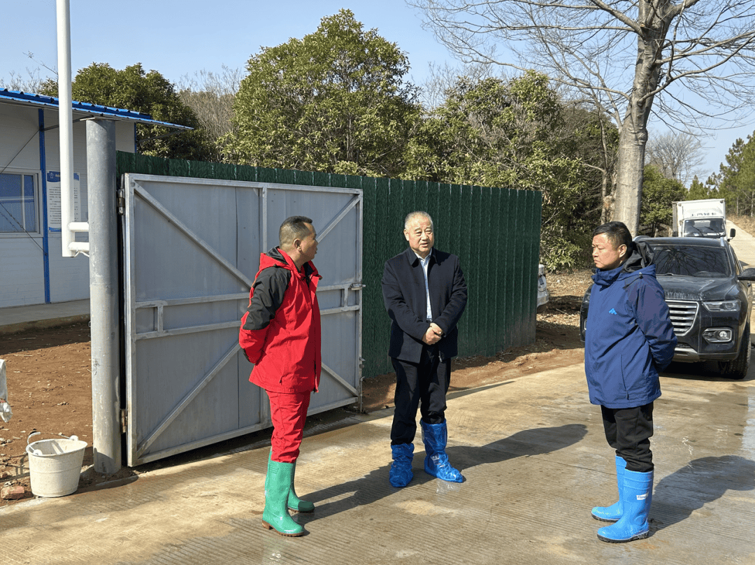 新五丰：目前公司母猪场满产率较2024年年初提升了10%以上