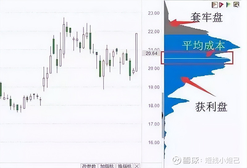 金杨股份最新股东户数环比下降7.93% 筹码趋向集中
