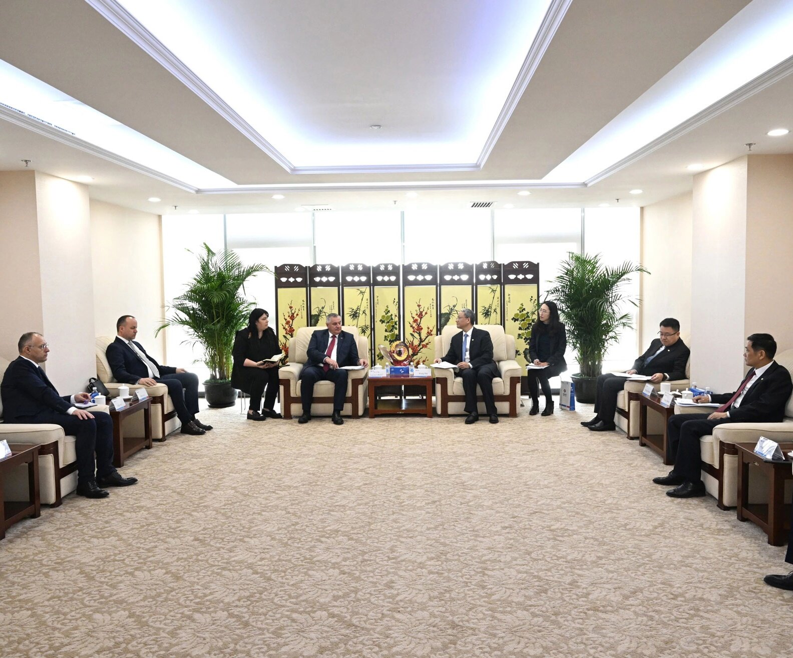 波黑电力公司总经理表示煤矿生产是波黑联邦能源系统稳定的关键