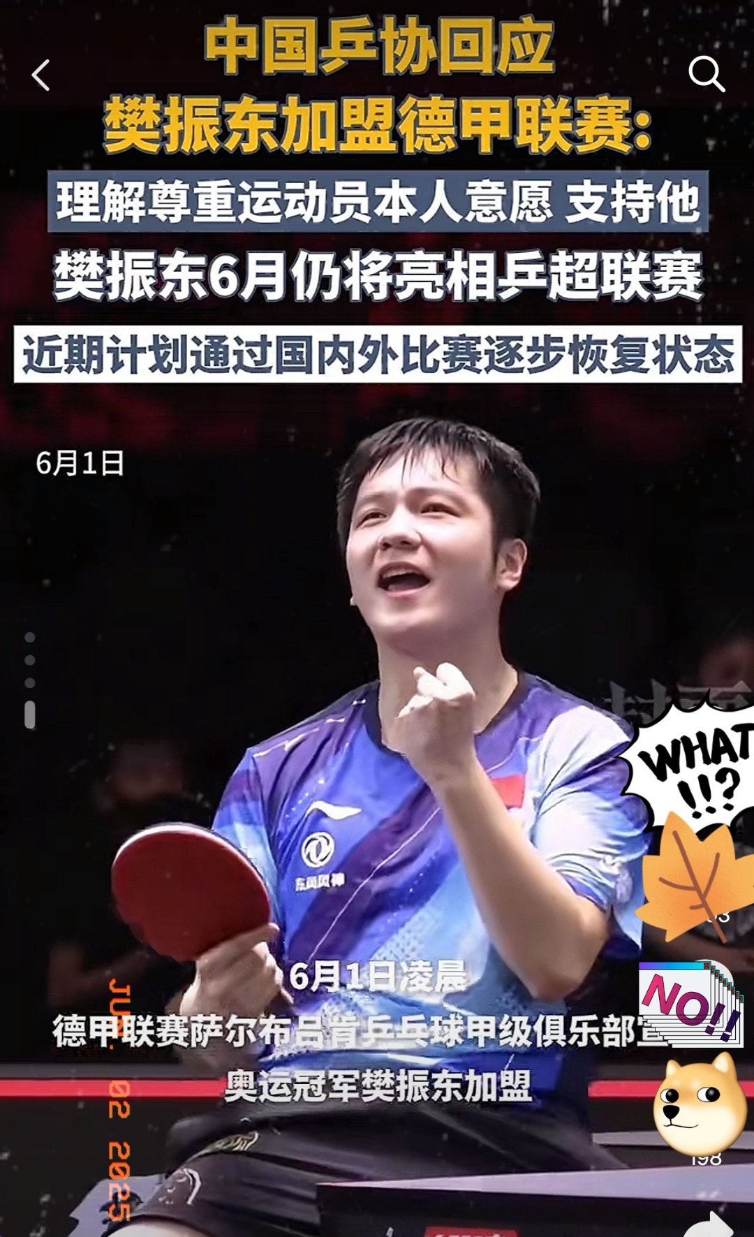 樊振东回应“霉霉”订婚