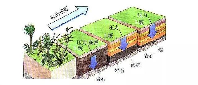广汇能源：煤炭产能集中释放 高分红+强项目锚定长期价值