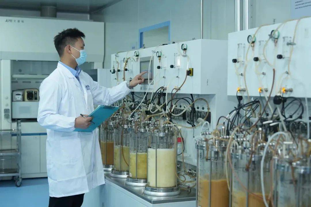 中国首家！国产凝结魏茨曼氏菌，拿到FDA-GRAS认证