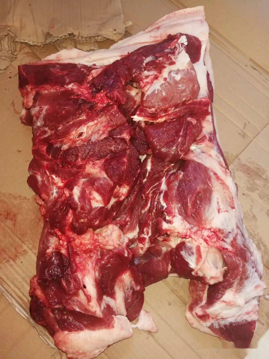 白酒糟生物发酵饲料业务扩张 路德环境更名“路德科技”
