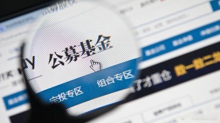 163只基金11月13日净值增长超5%,最高回报10.98%
