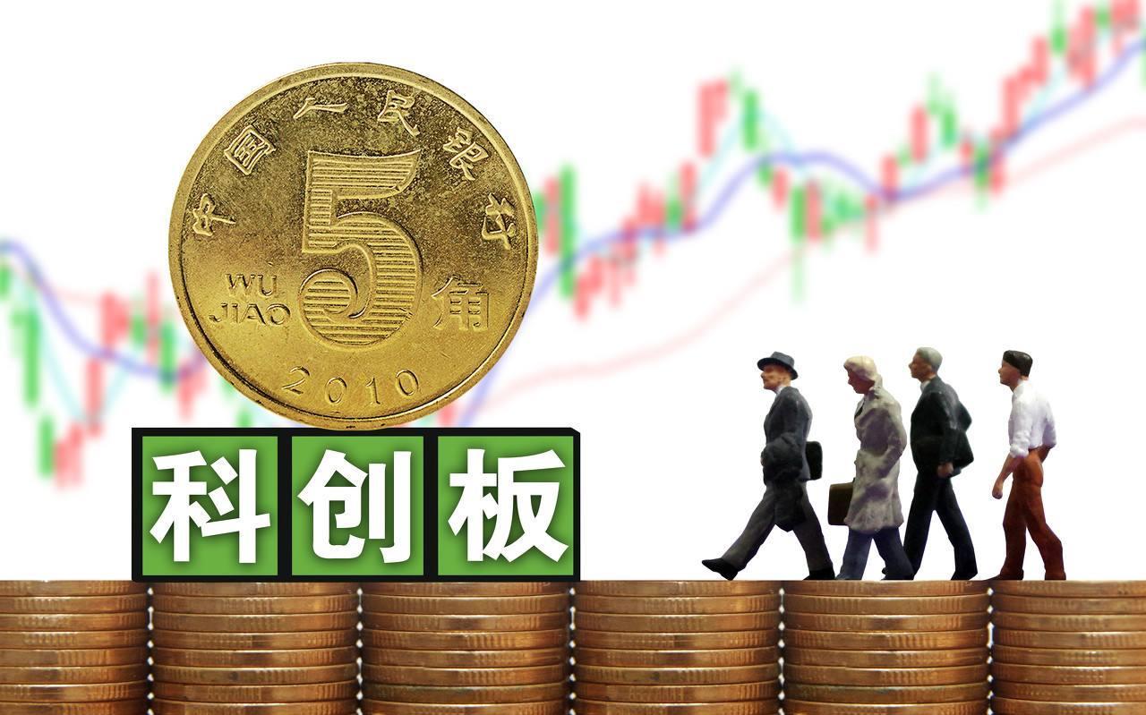 央行副行长陶玲：积极发展股权、债券等直接融资