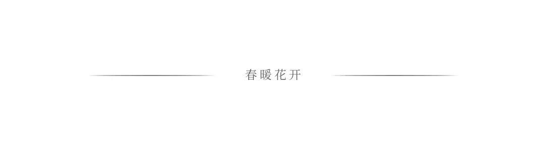 陈春花：成为卓有成效的协同管理者