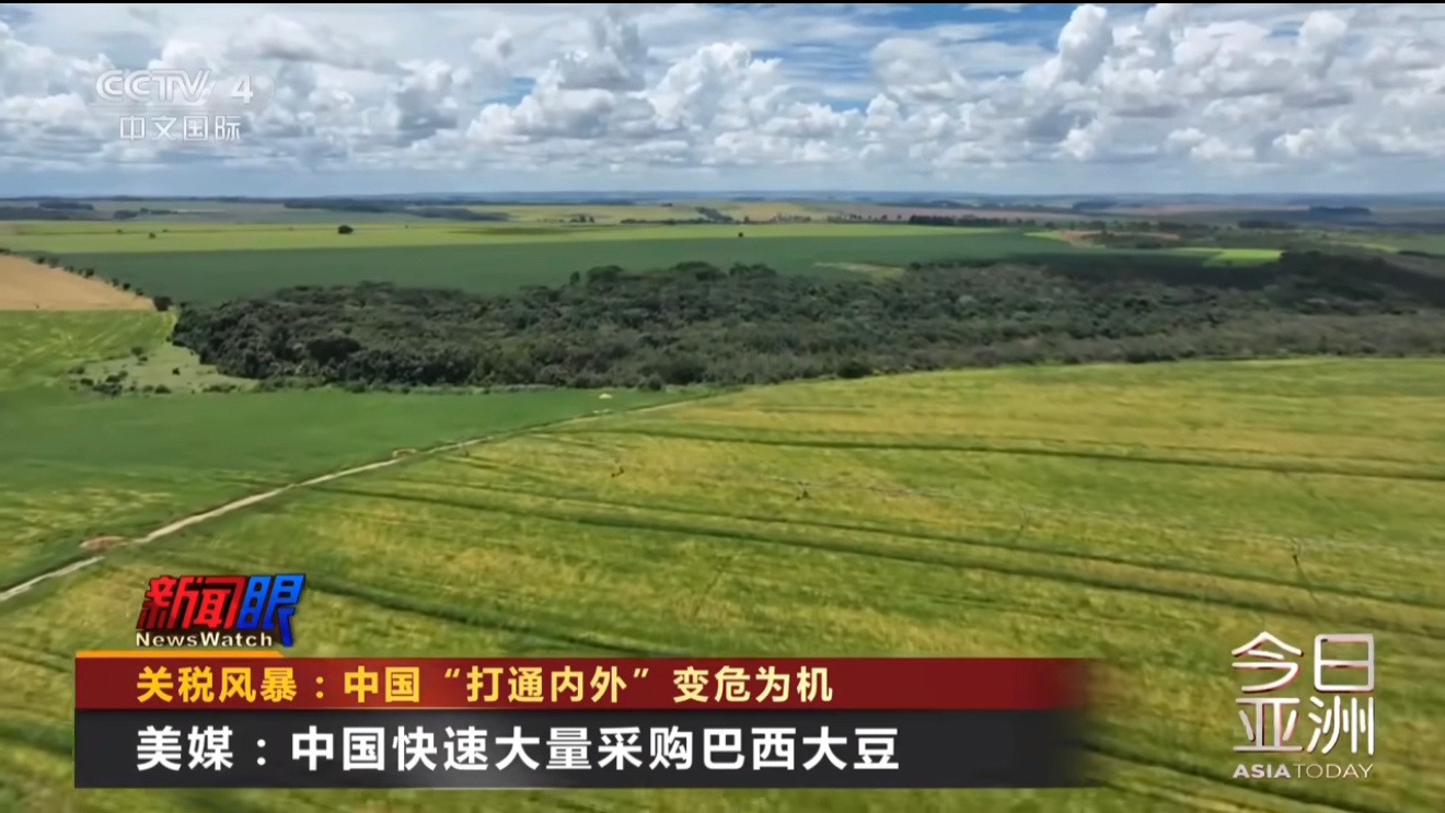 印尼政府大米储备2025年预计达350万吨