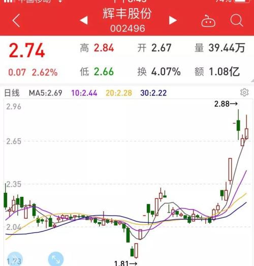 *ST辉丰录得5天3板