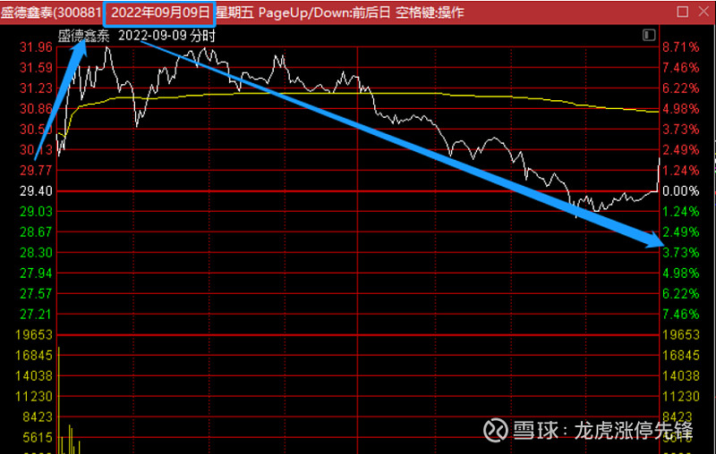 上海九百1月9日龙虎榜数据