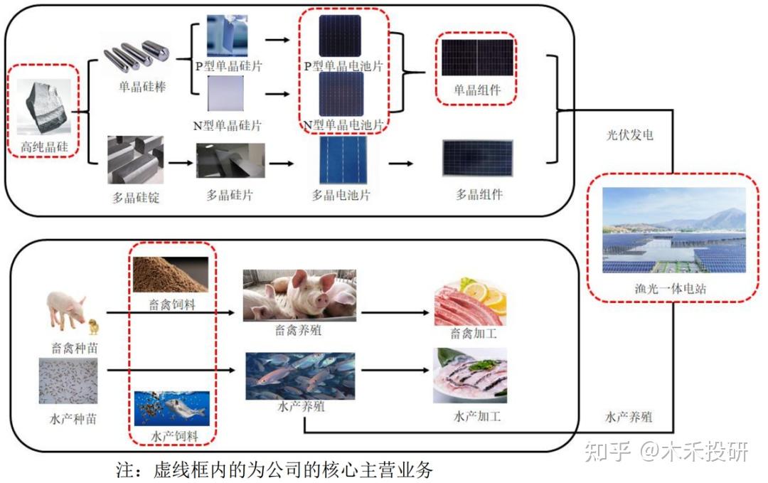 粤桂股份：定增发行价格不低于定价基准日前20个交易日公司股票交易均价的80%