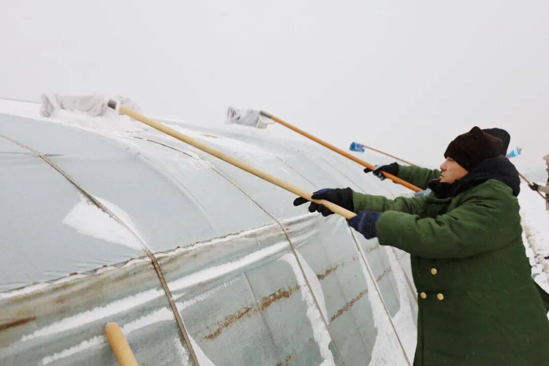 中国游客称因道路积雪，被困俄罗斯“极光村” 超40小时！有游客被安置在学校，安置点提供食物和热水，俄媒：滞留游客都已离开
