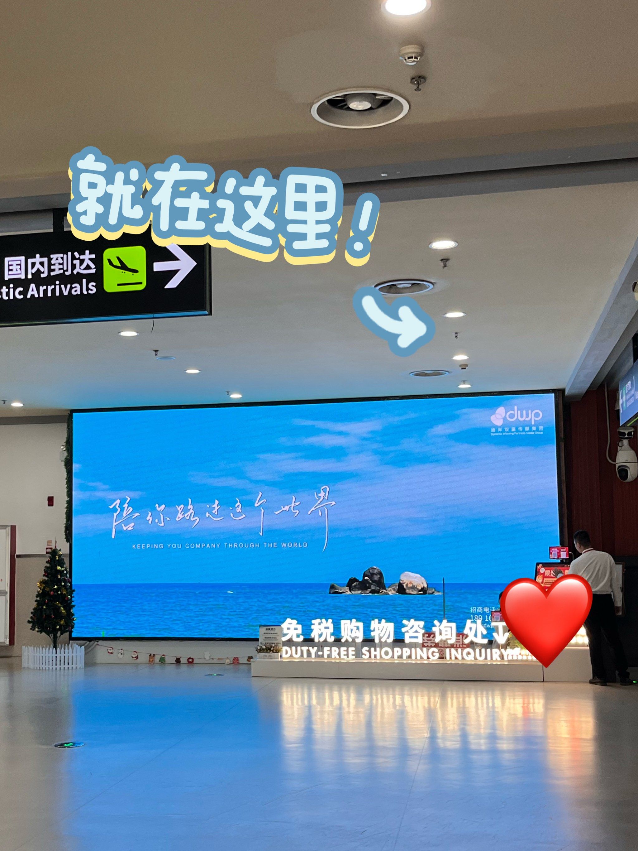 海南首批岛内居民日用消费品免税店拟定于2月11日开业