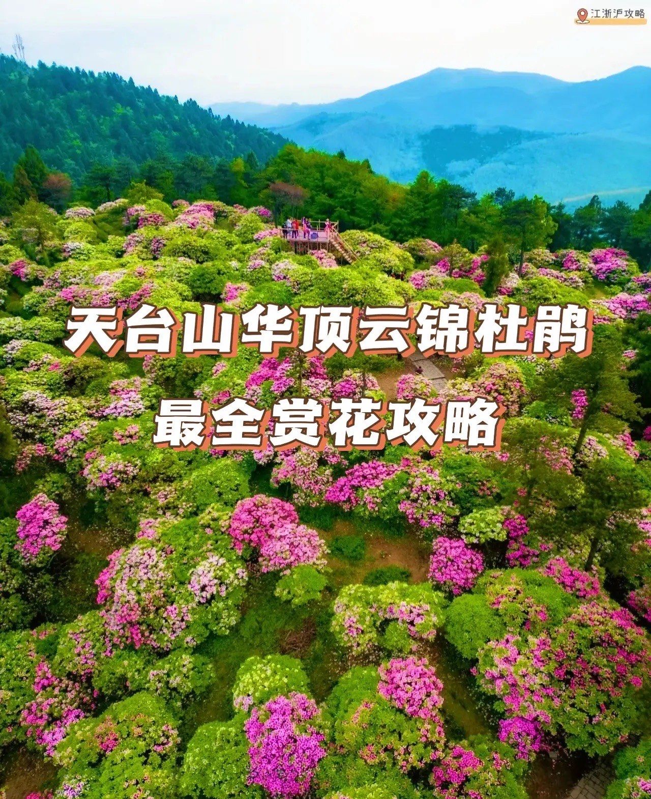 “三八”国际妇女节迎赏花游小高峰 “悦己型”消费热度持续攀升