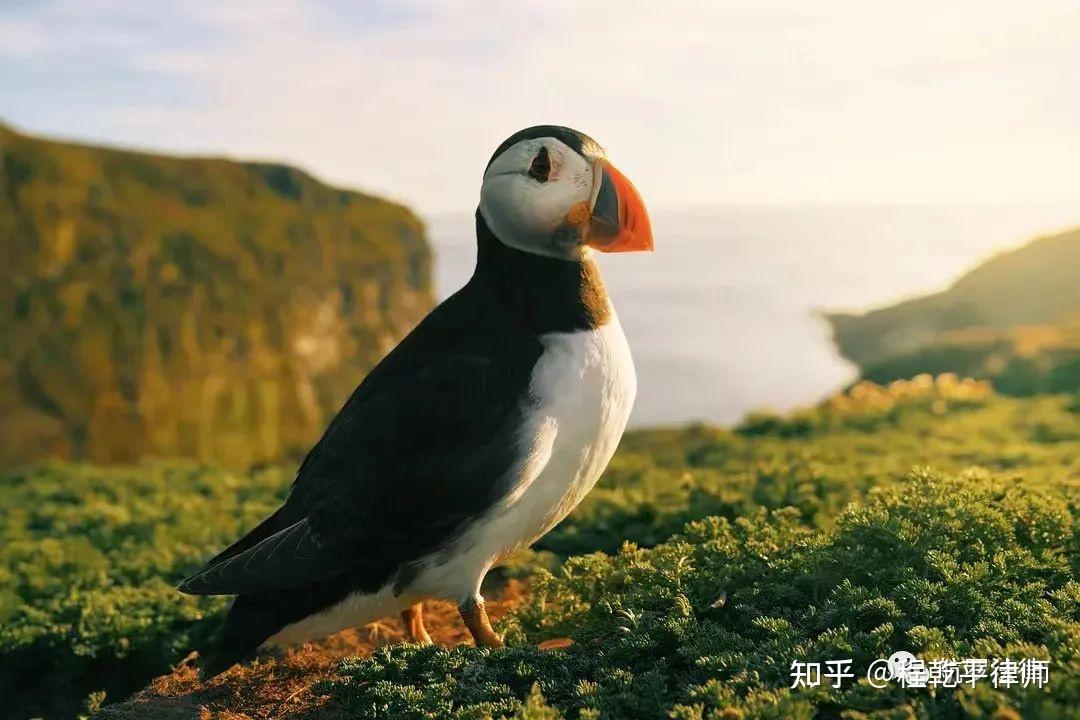 立方风控鸟·晚报（3月11日）