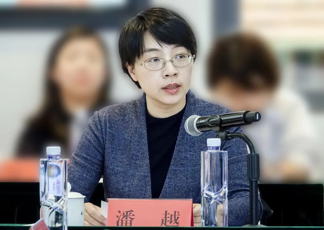 潘越代表——有序化债稳预期