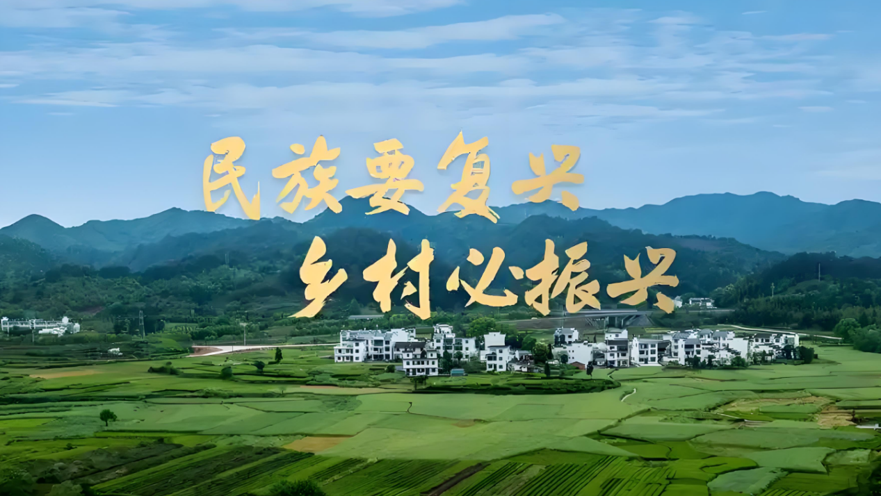厚植乡村电商发展内生动能