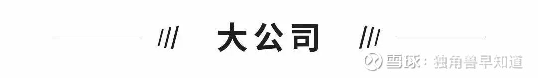 福田汽车：调整董事、总经理