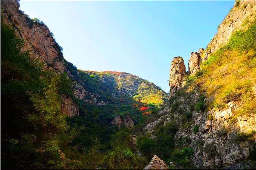 激活春日赏花经济 长江新区探索农文旅融合发展新模式