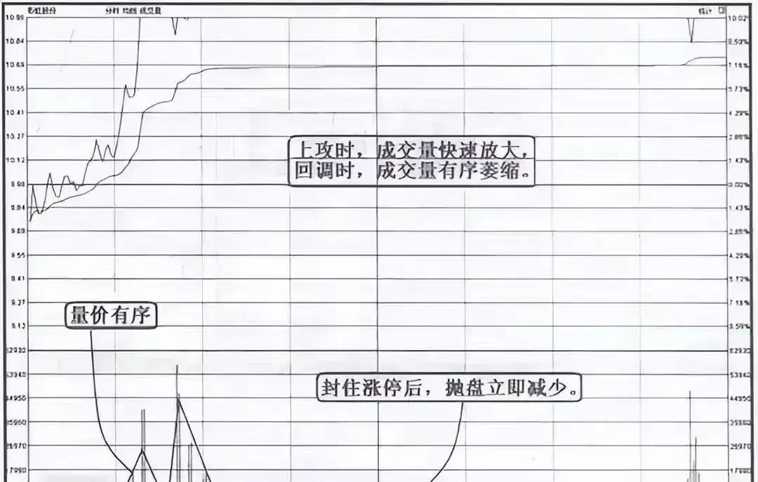 揭秘涨停 | 2股封单金额超5亿元