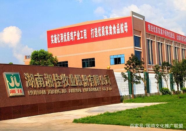 华英农业去年业绩转亏：双主业战略承压，重整四年业绩均未达目标