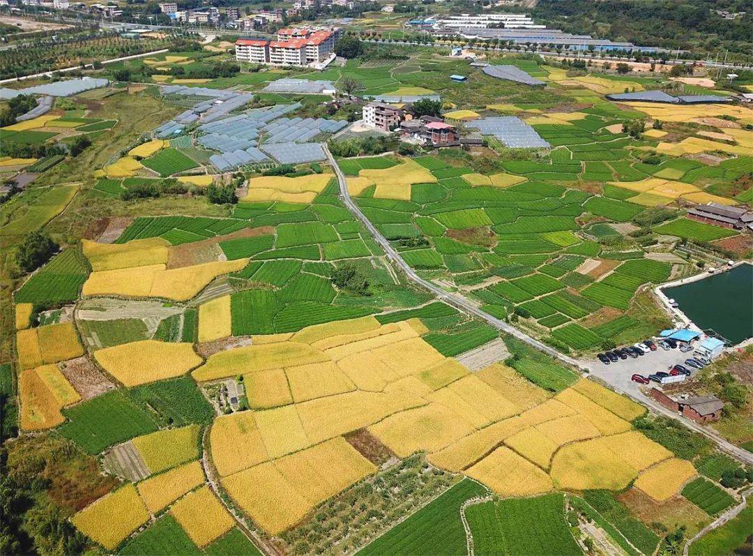 龙净环保:股东龙岩国投累计增持公司股份约1168万股