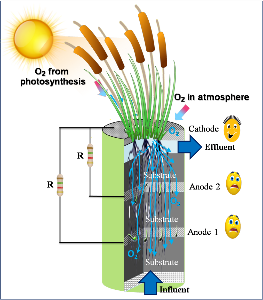 中国石化获得发明专利授权:“应力耦合作用下的微生物腐蚀电化学试验装置”