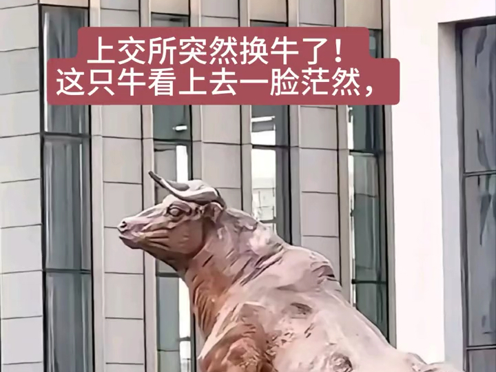 上交所举办“三开门”审计机构专场宣讲暨业务培训会