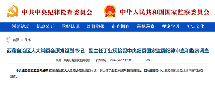 周末打虎,副部级丁业现被查