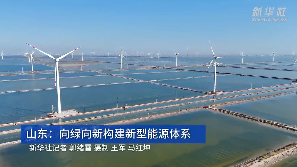 山东出台方案支持场景培育开放应用推动新质生产力突破发展