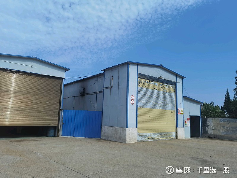 天邦食品股价“过山车”背后：业绩预亏与重整失败风险高悬