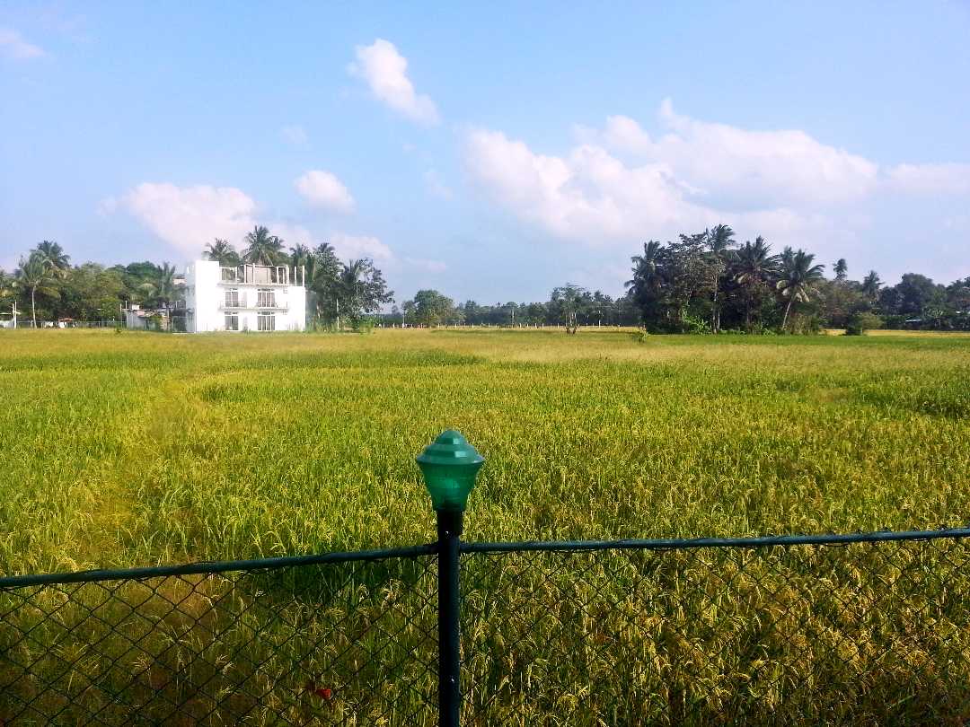 斯里兰卡四年内超20万中小企停业