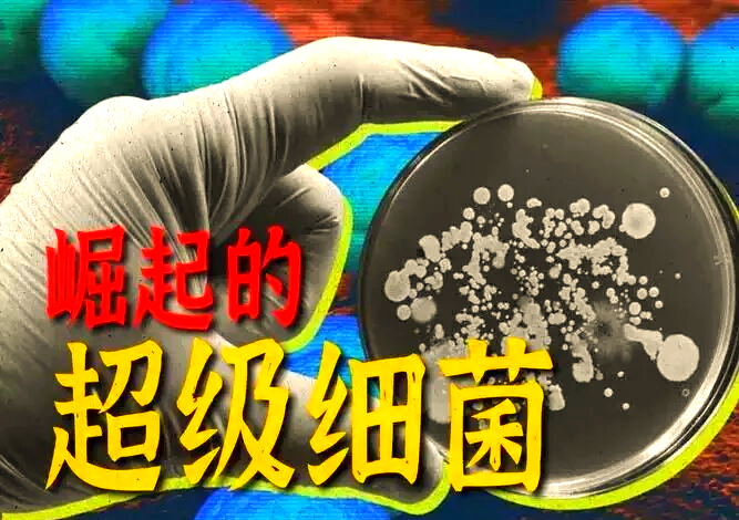 抗生素无效后,他们用病毒战胜超级细菌