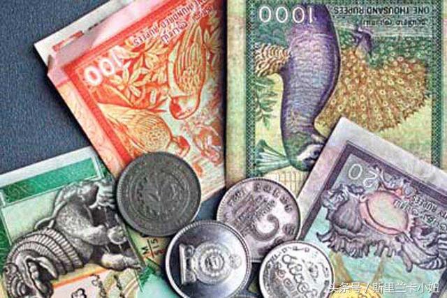 斯里兰卡运输局新年季六天收入达到10亿卢比