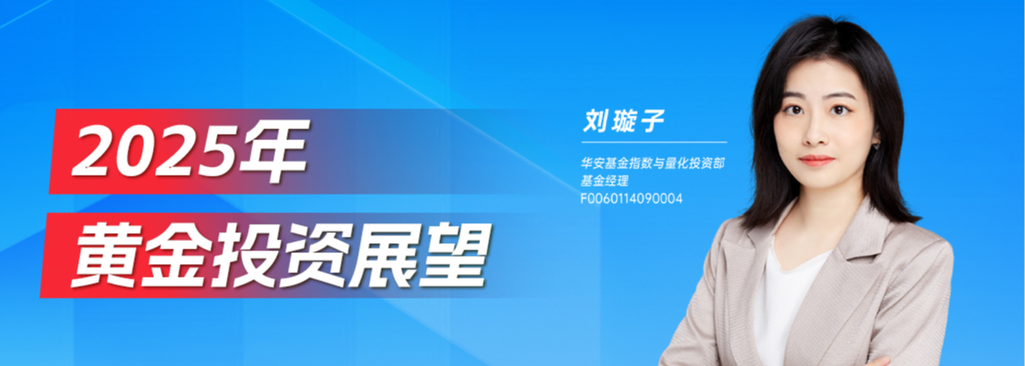 安路科技:2025年亏损加剧,收入持续缩水,股东减持不断,欲借定增翻盘