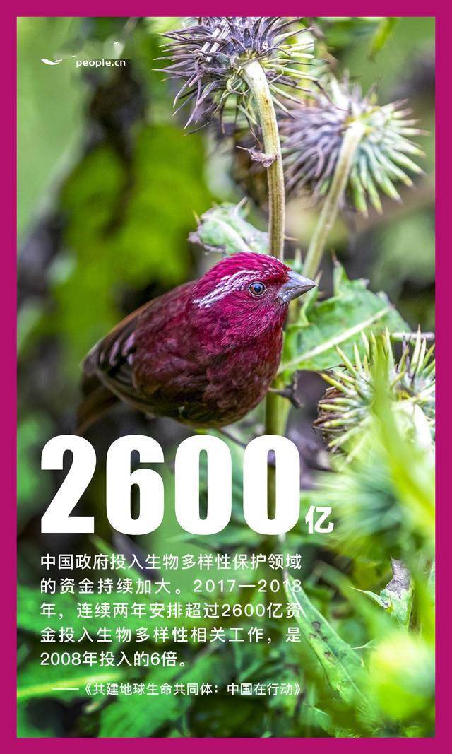 赤几参加联合国经社理事会发展筹资后续行动论坛